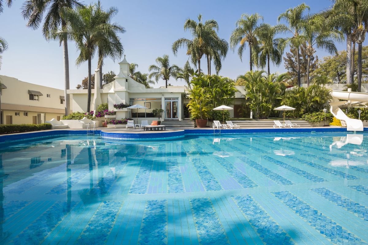 Tumbonas y cocoteros junto a la piscina al aire libre de Gamma Hotels