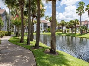 Shaded sidewalk at Legacy Vacation Resorts