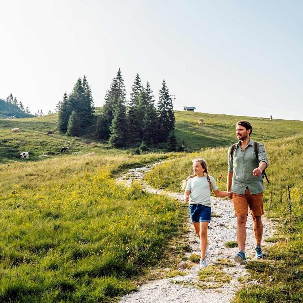 Father and daughter walking hand in hand on a dirt path in a green meadow with cows.
