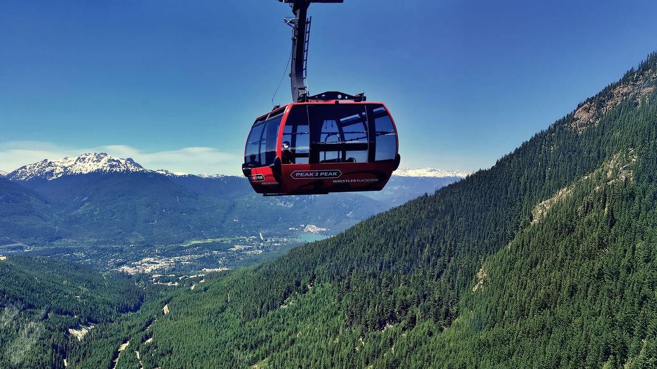 A gondola over lush forest and distant mountains in Whistler