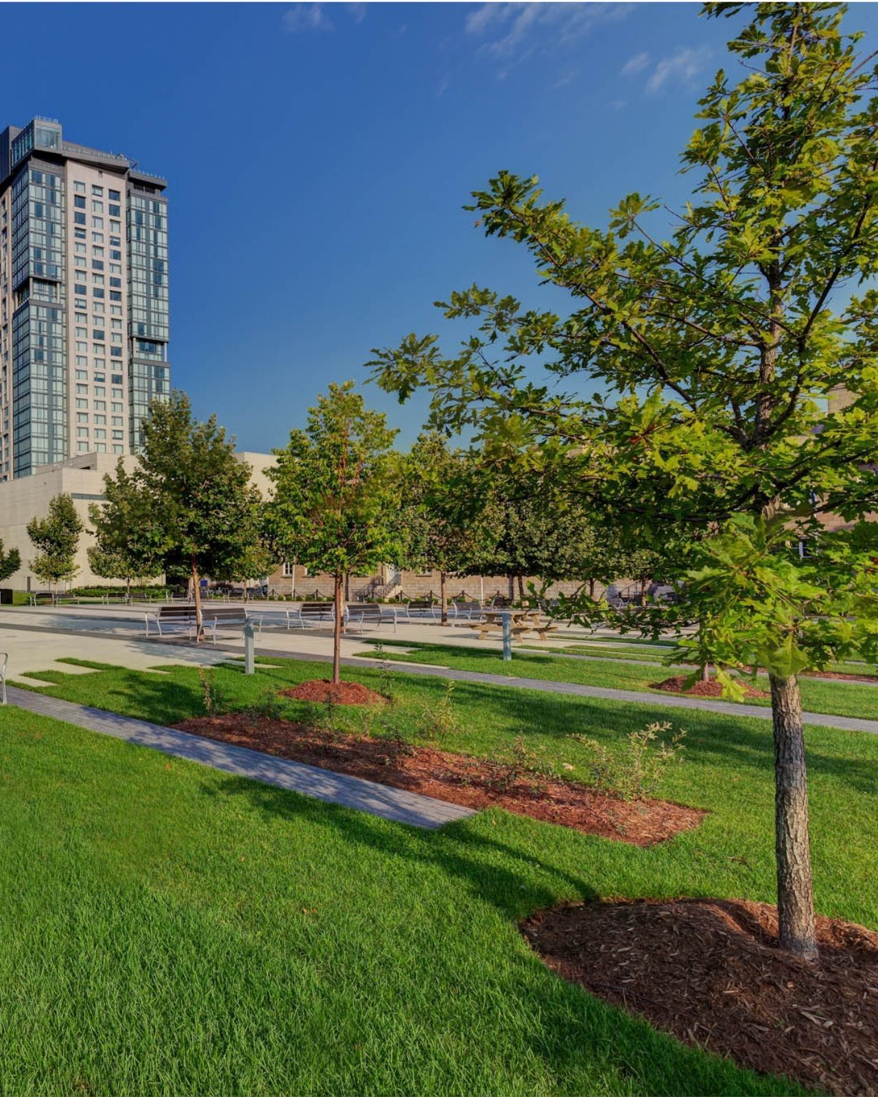 Exterior of Hotel X Toronto rising above a green lawn with trees, benches, and picnic tables under a clear blue sky
