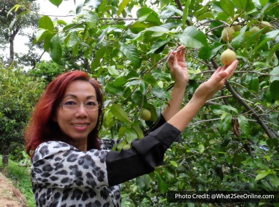 A woman was taking a picture at FCS Durian Orchard - Lexis Suites Penang