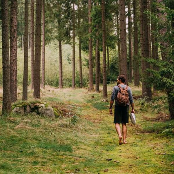 A man hiking on the forest near Falkensteiner Hotels & Residences