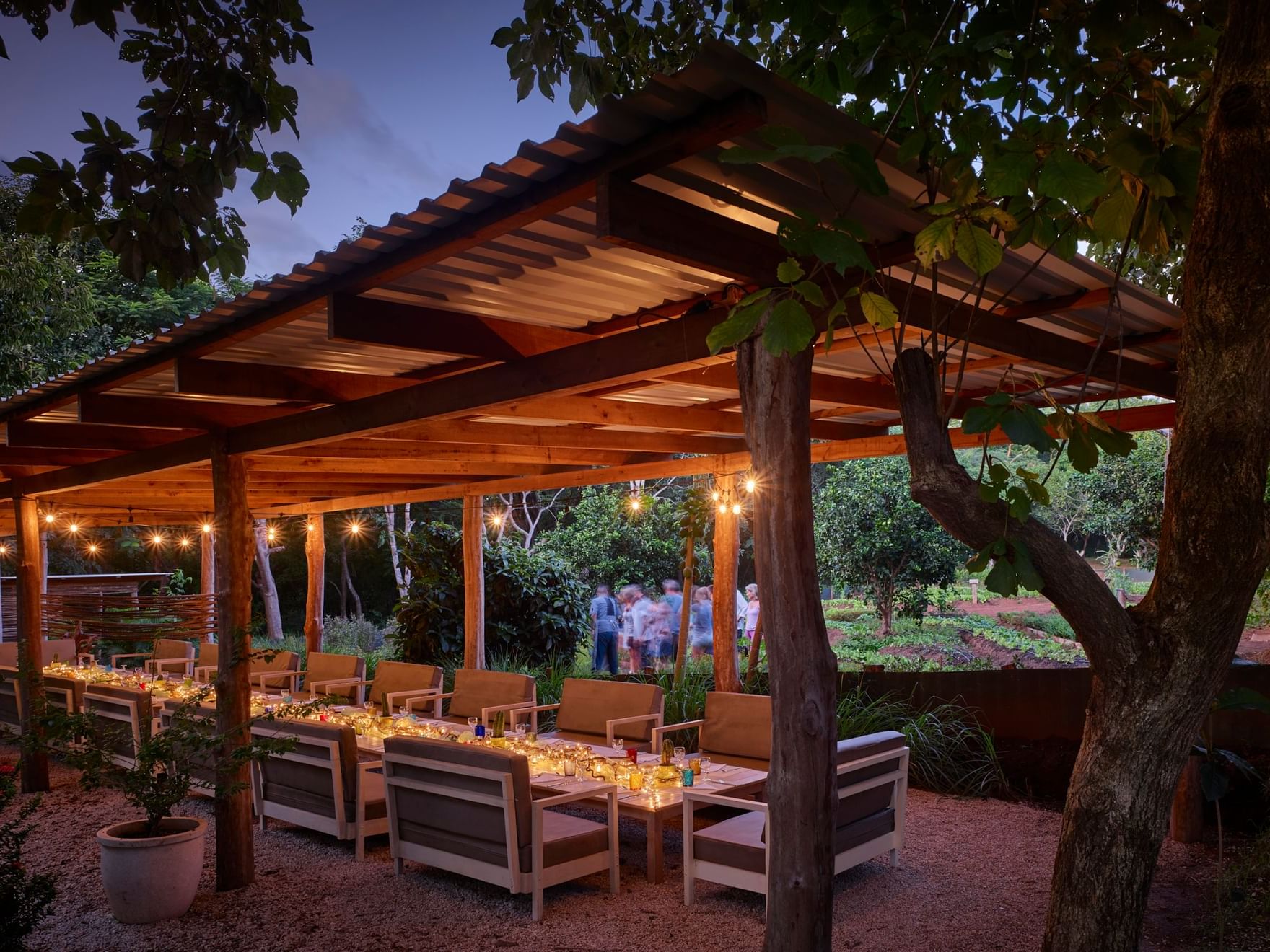 Explore La Senda’s organic farm, then enjoy a chef‑led 3‑course dinner at peak freshness.