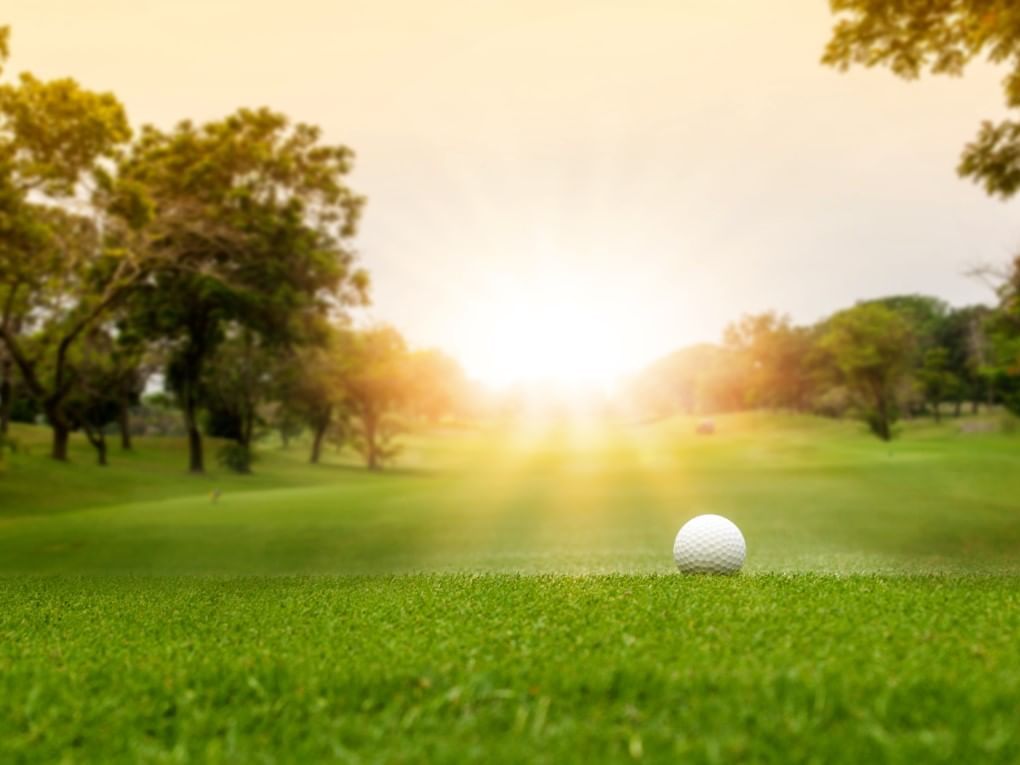 golf ball on the green with the sun rising
