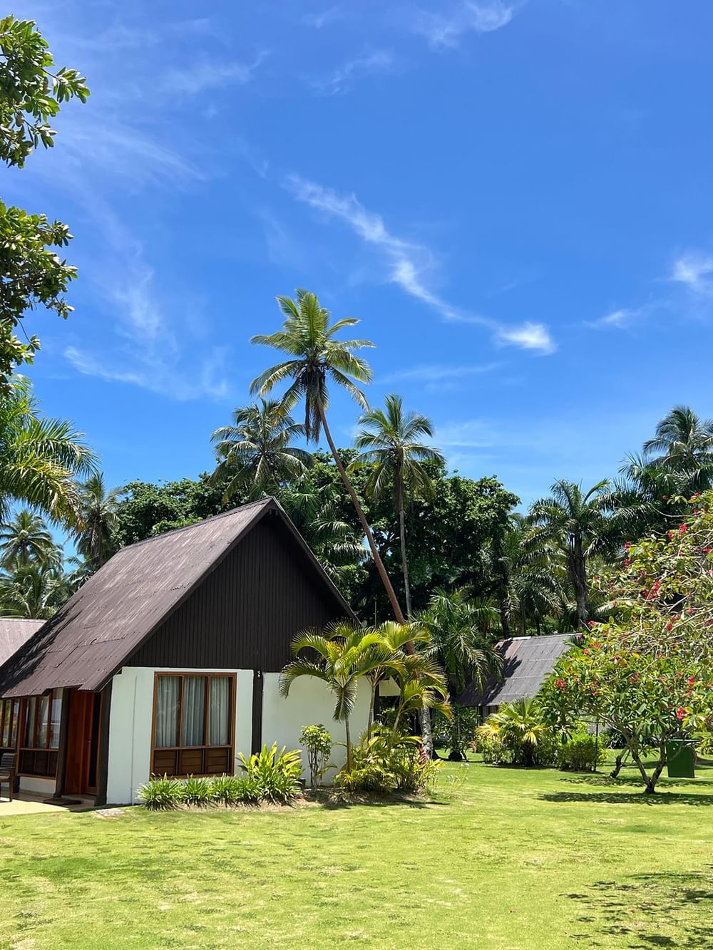 Beach Front Bure surrounded by lush greenery and palm trees at Tambua Sands Beach Resort in Sigatoka.