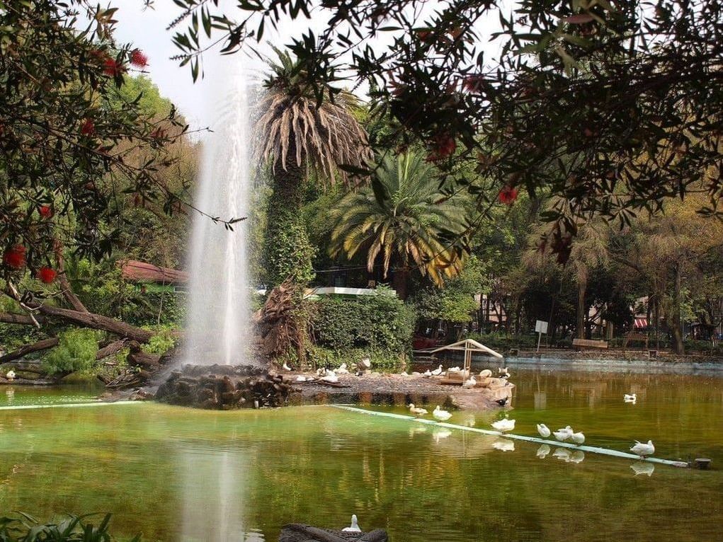 Vista del paisaje del Parque México cerca de Casa Mali by Dominion