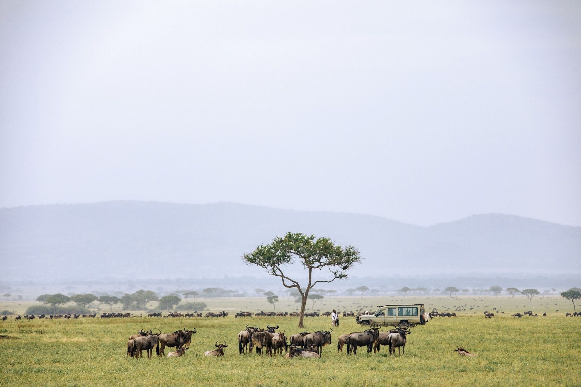 Mara Serena Safari Lodge in Maasai Mara — photo 4