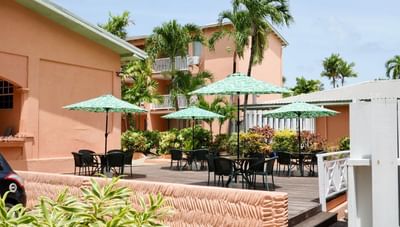 Wooden deck patio with green umbrellas and black dining sets beside tropical palm trees at Worthing Court Apartment