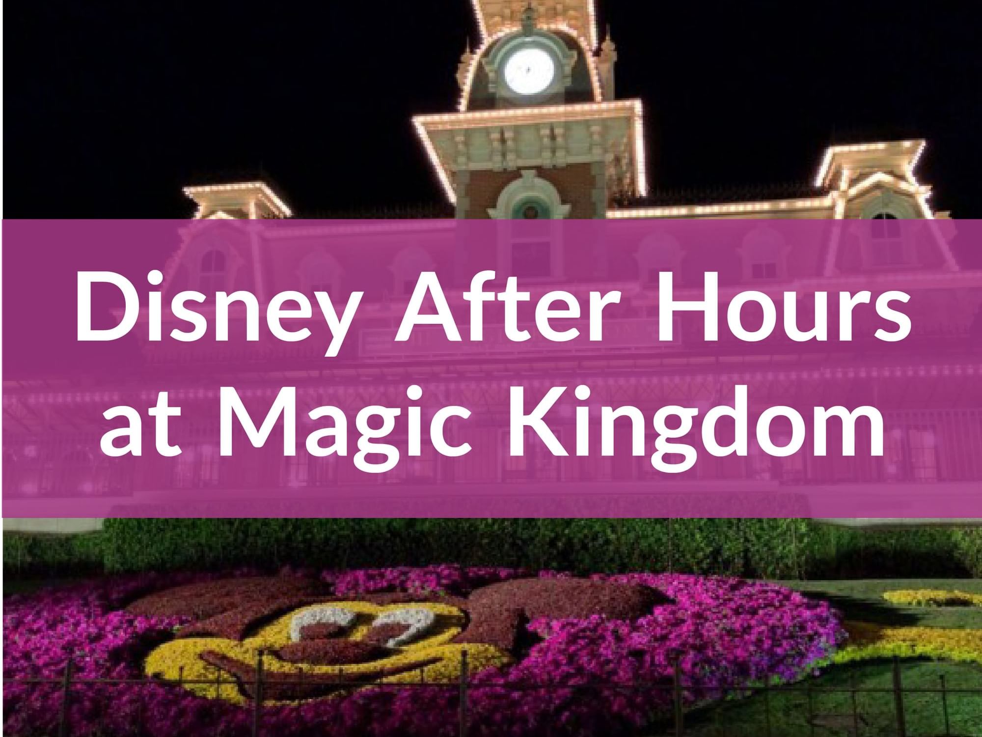 Disney After Hours at Magic Kingdom poster used in Lake Buena Vista Resort Village & Spa