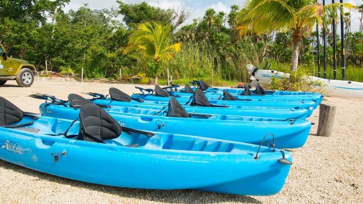 Blue kayaks lined outdoors on a sunny day near The Explorean Resorts