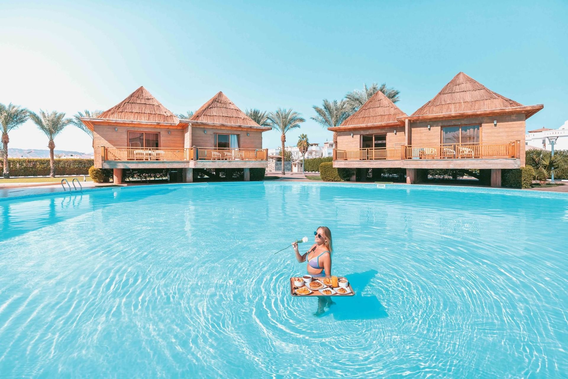 Pool at Pickalbatros Hotels & Resorts
