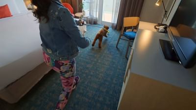 Pet Friendly Room