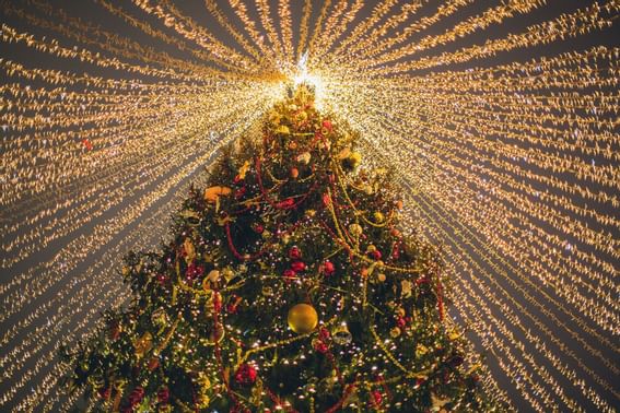 Christmas tree decor using light & ornaments at The View Hotel