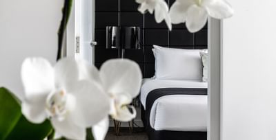 Guest Room at Silkari Suites at Chatswood