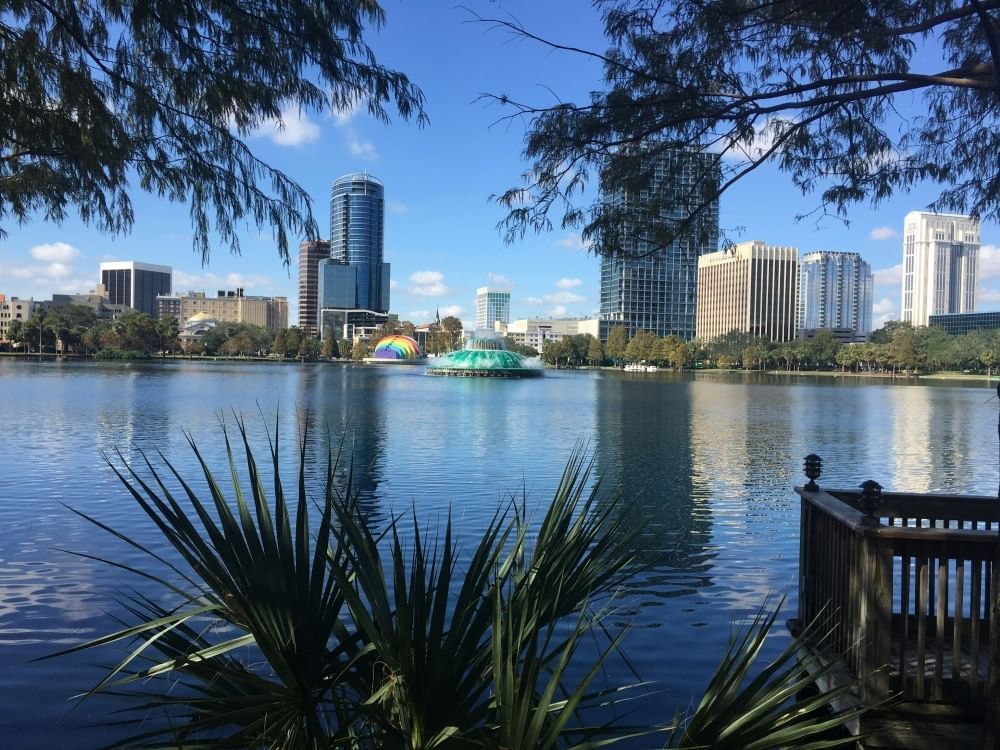 An eye level view of a sparkling blue lake with a cityscape background and trees in the right, left, and front center of the frame.
