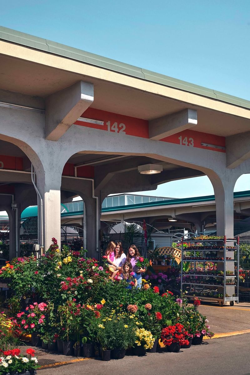 Colorful flower market with vibrant blooms under concrete arches on a sunny day at Warwick Le Crystal Montreal
