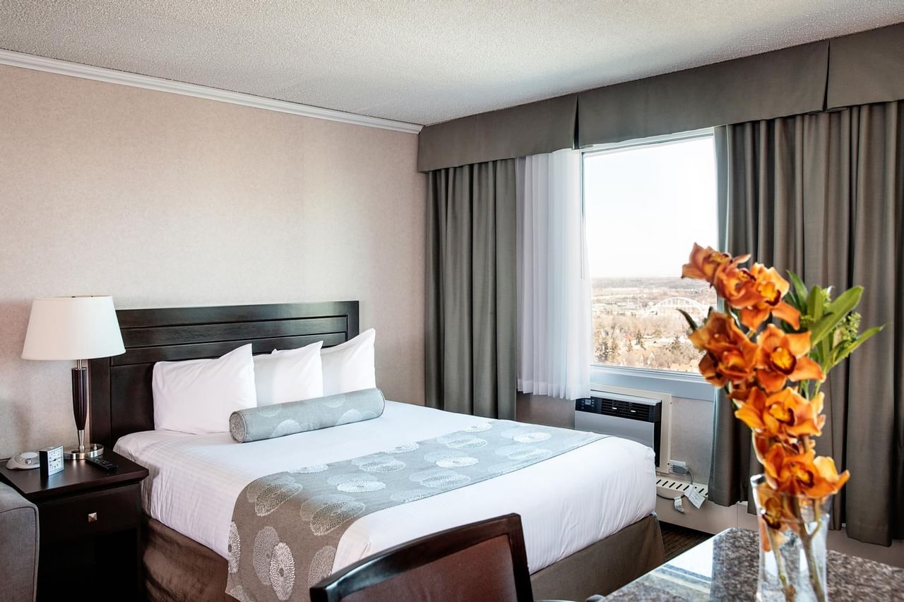 Premium Studio Queen Full Kitchenette