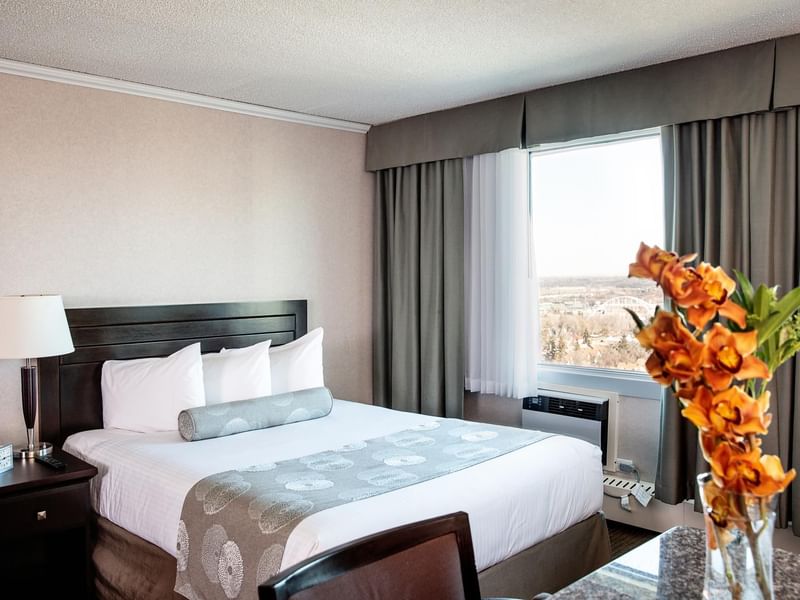 Premium Studio Queen Full Kitchenette