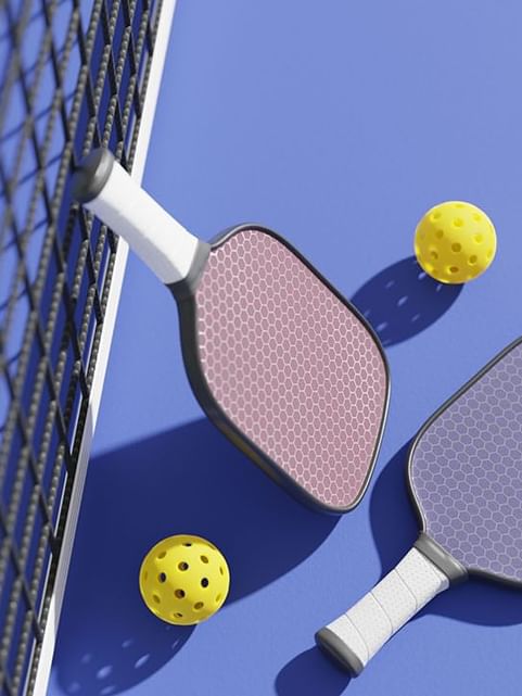 Pickleball | Paradise Stream Resort