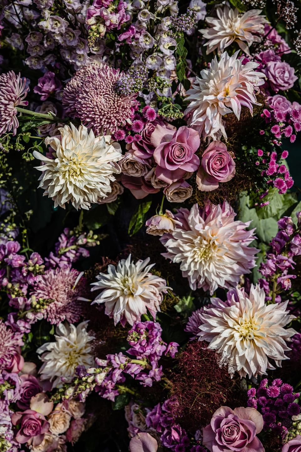 Flowers at Liss Ard Estate in Skibbereen, Cork