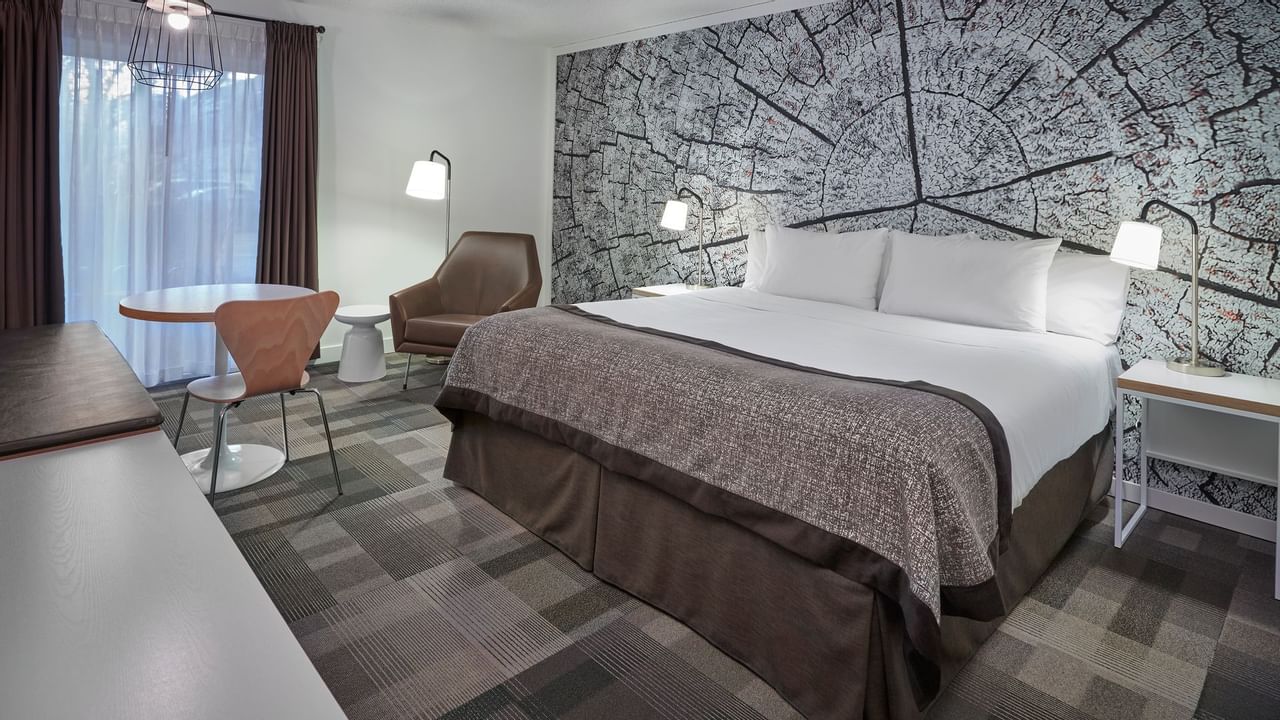 Bed in hotel room with artwork of tree trunk