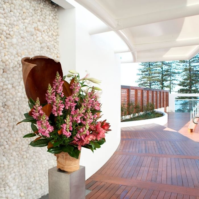 Pavilion_Flower_Shot