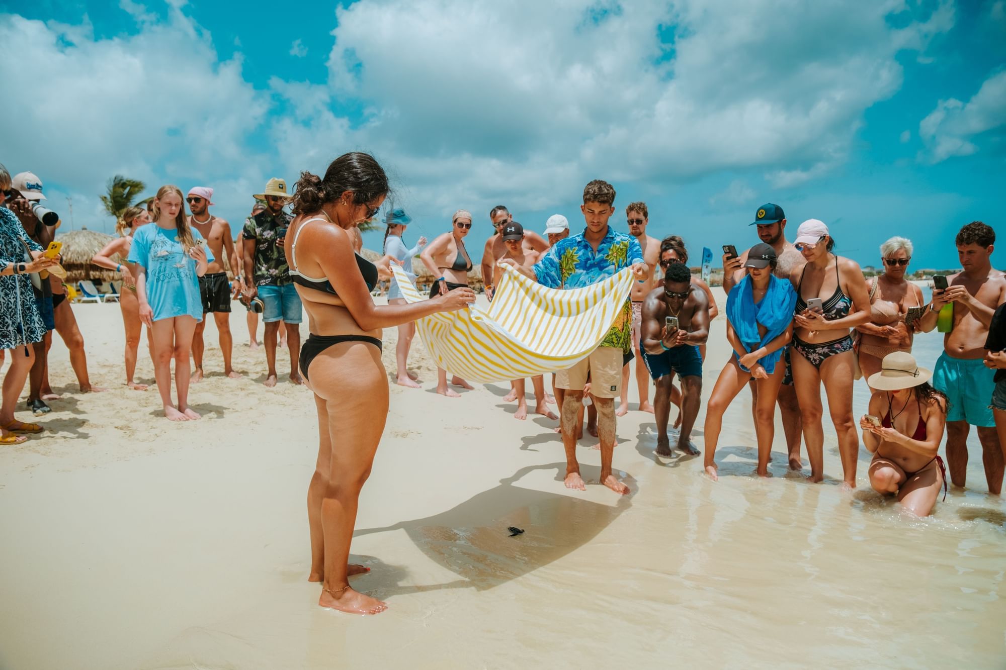 Sea Turtles hatching at Eagle Beach and Amsterdam Manor Beach Resort