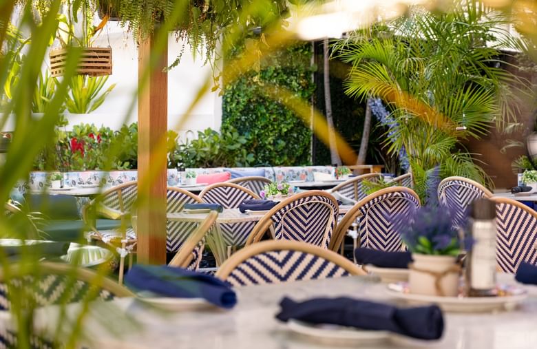 An outdoor dining area with a table set for guests, surrounded by plants and blue and white chairs.