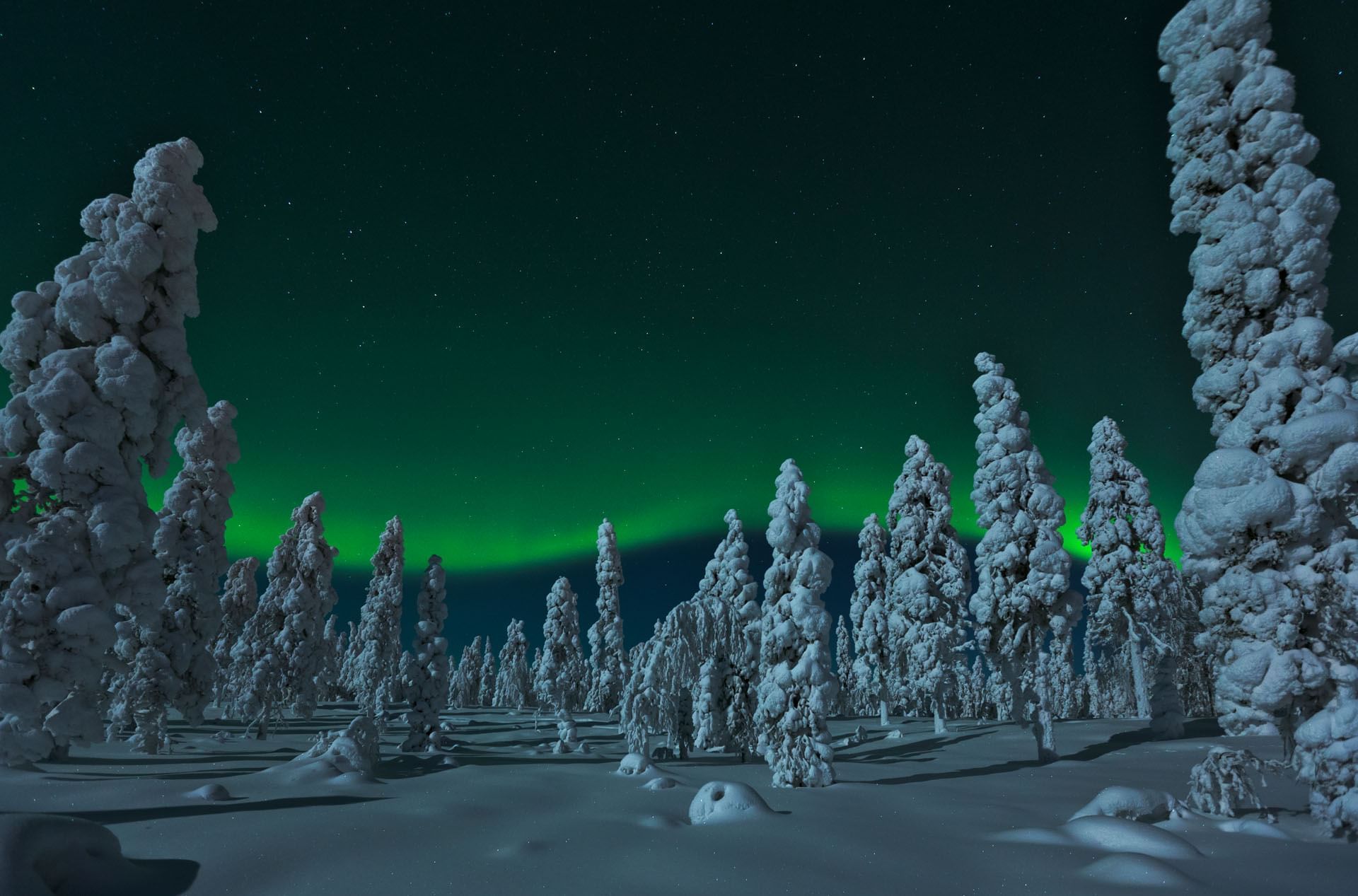 Attractions near Arctic Light Hotel in Rovaniemi, Finland
