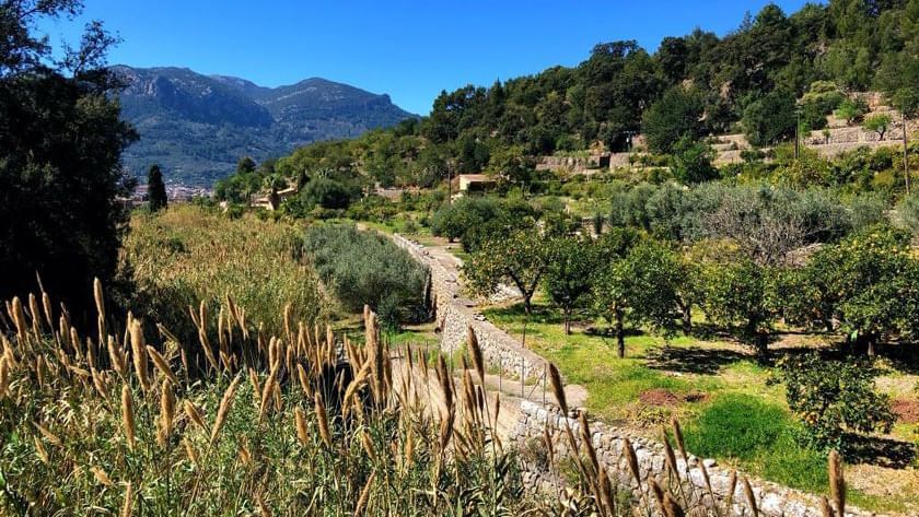 Road from Soller to Fornalutx