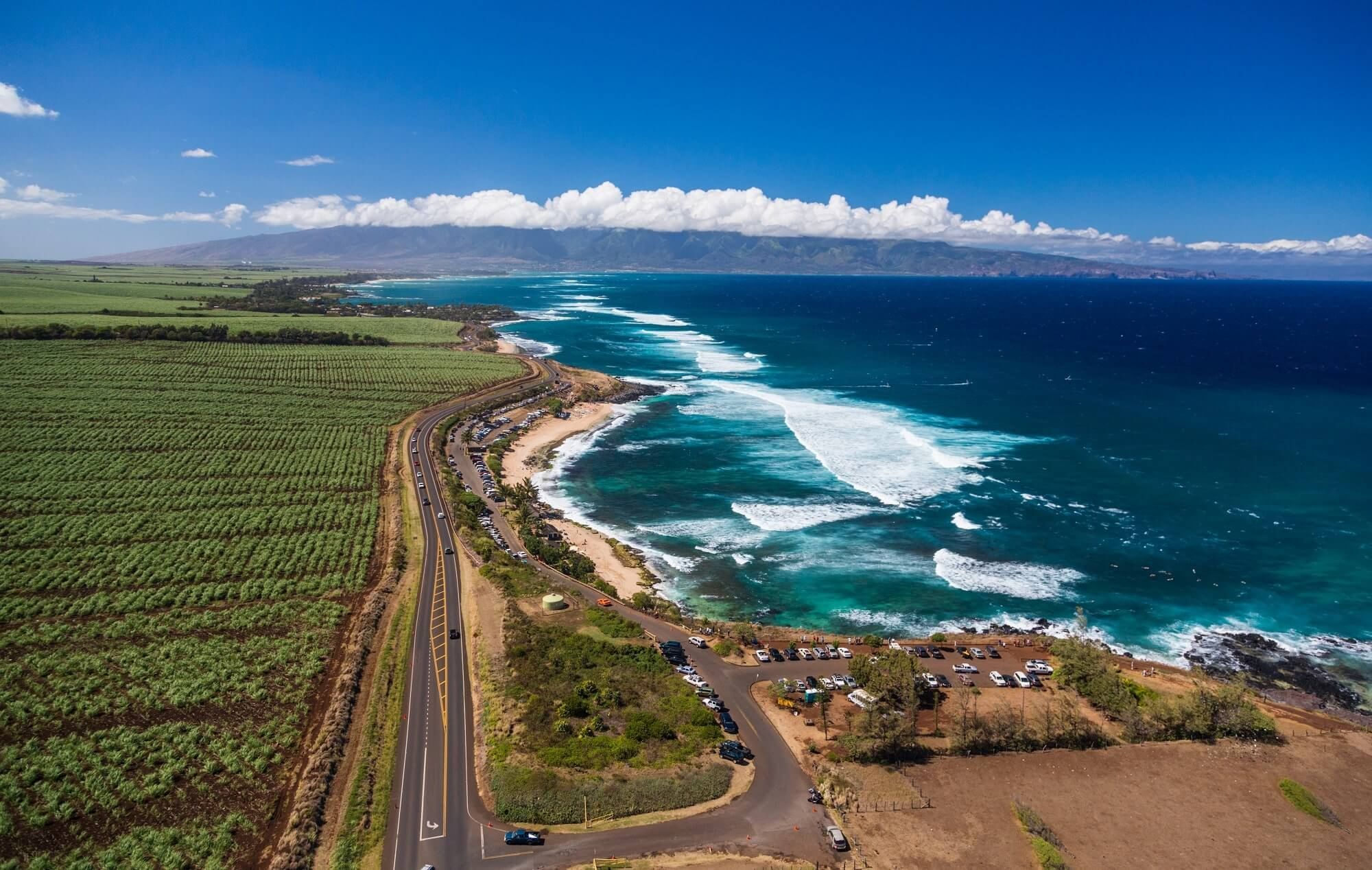 Aerial view of large paddy field & the sea between Kalanianaole Highway near Waikiki Resort Hotel