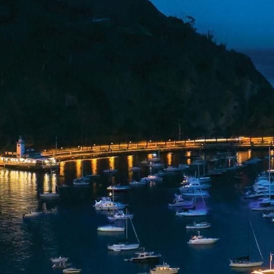 Harbor with boats and a bridge along a mountainous coastline near Catalina Island Company, one of the things to do in catalina island