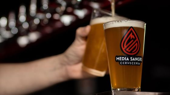 Freshly poured pint of craft beer in a branded pint glass at Media Sangre craft brewery venue inside Araiza Calafia