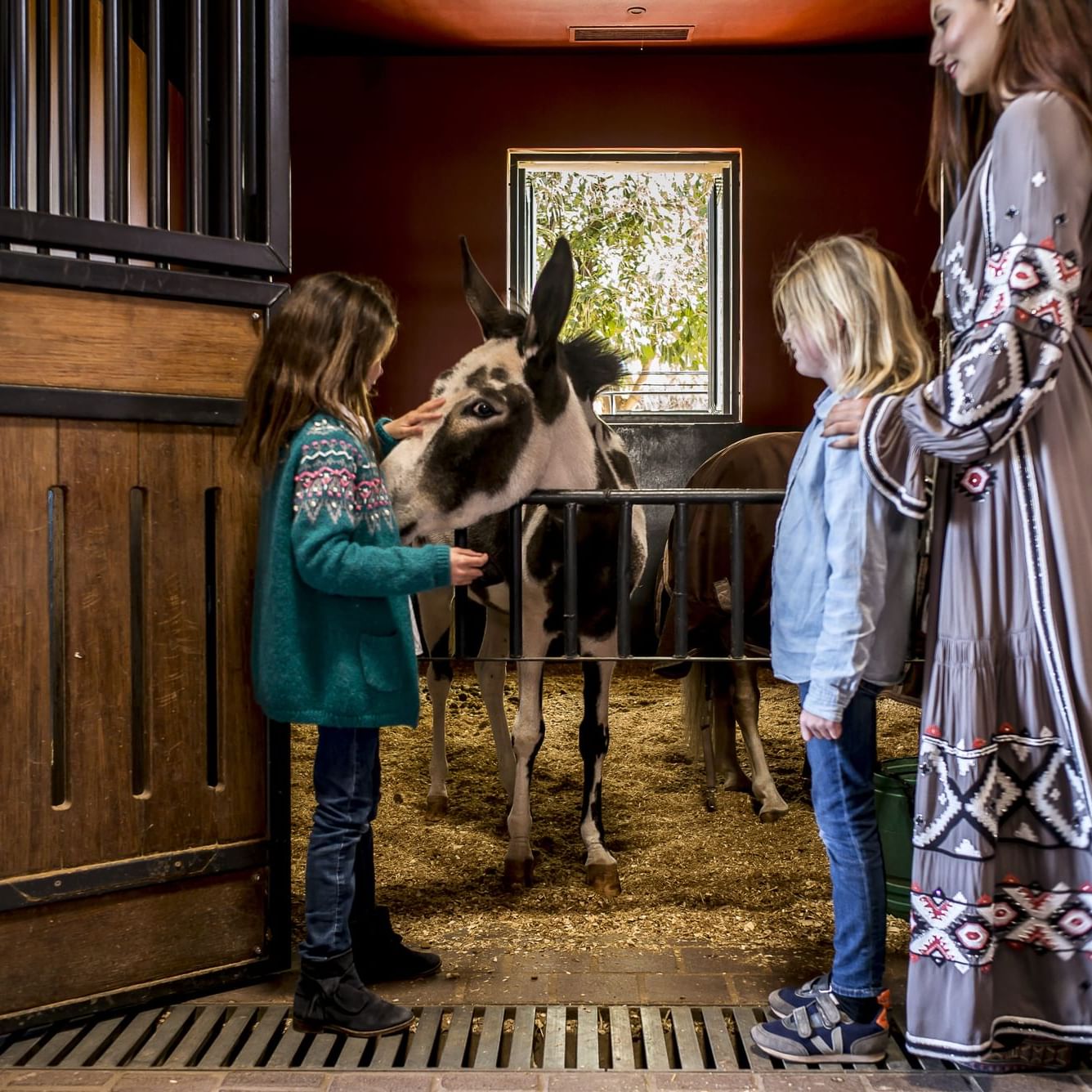 Pony Circus Experience 