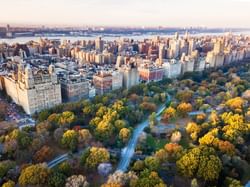 aerial view of buildings in new york city