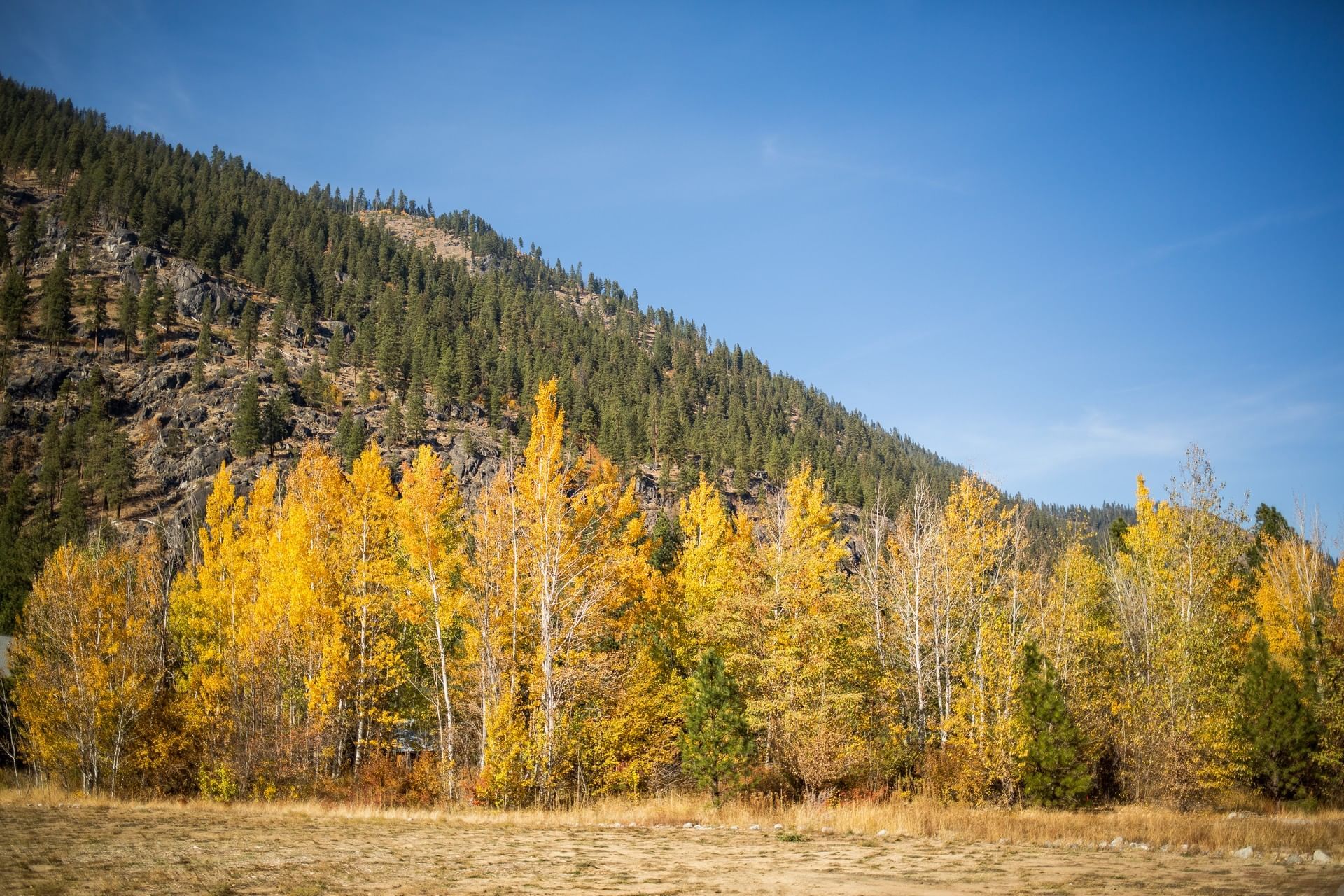 The landscape of mountain with trees near Sleeping Lady