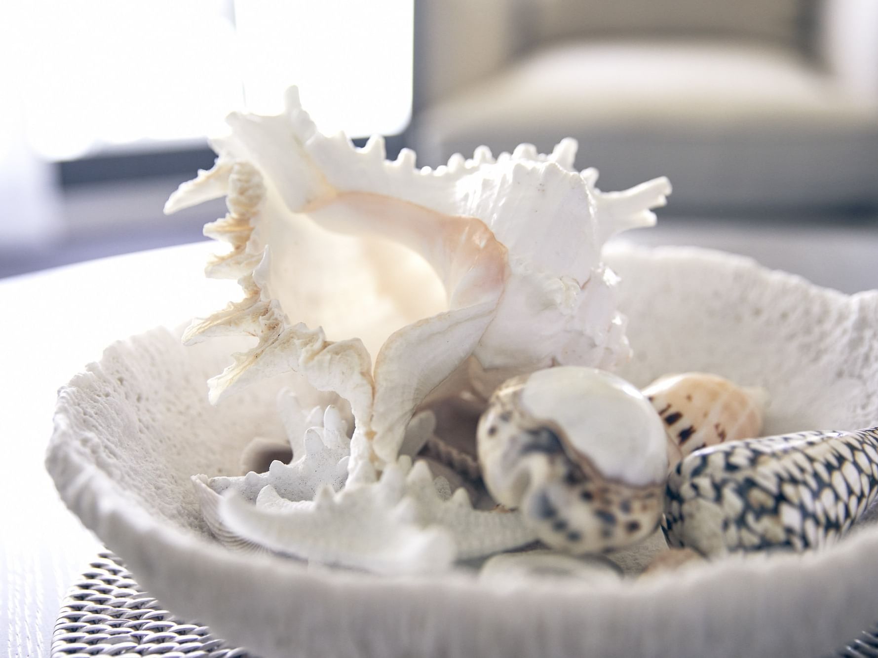 Sea shells in Serenity suite at Daydream Island Resort
