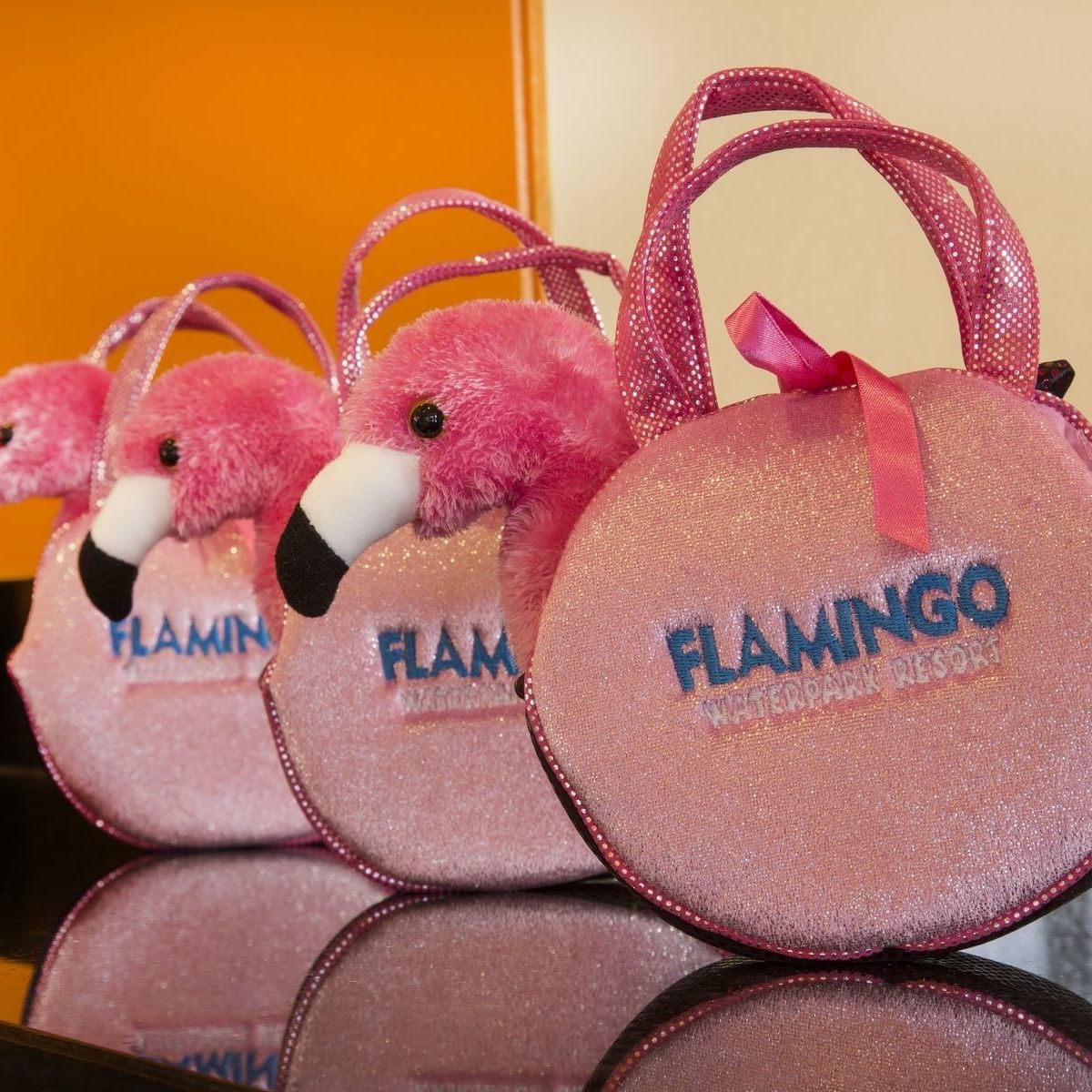 Bags in the party corner at Flamingo Waterpark Resort