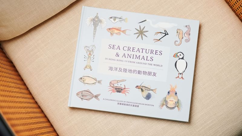 Sea creatures & animals kids book at Fullerton Group
