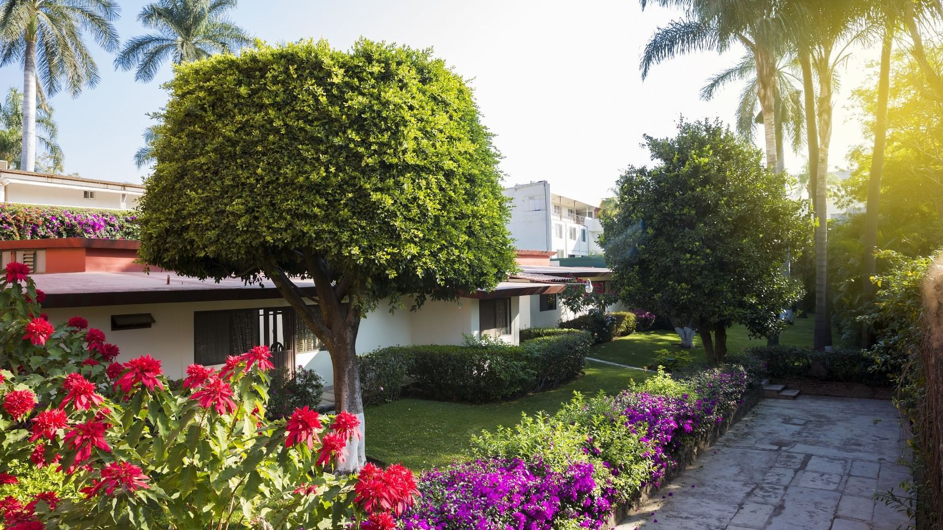 Exterior view of Gamma Cuernavaca Puerta Paraíso