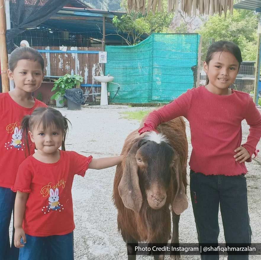 Children were taking a picture with a Damascus goat at Pavilion Petting Zoo - Lexis Suites Penang