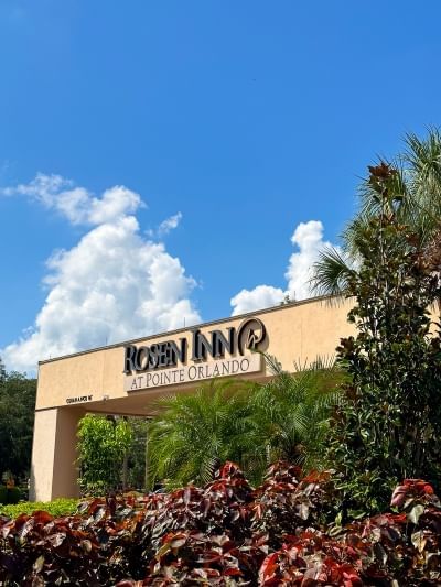 Rosen Inn at Pointe Orlando is a dog-friendly hotel in Orlando. We can't wait to welcome you and your furry friends.