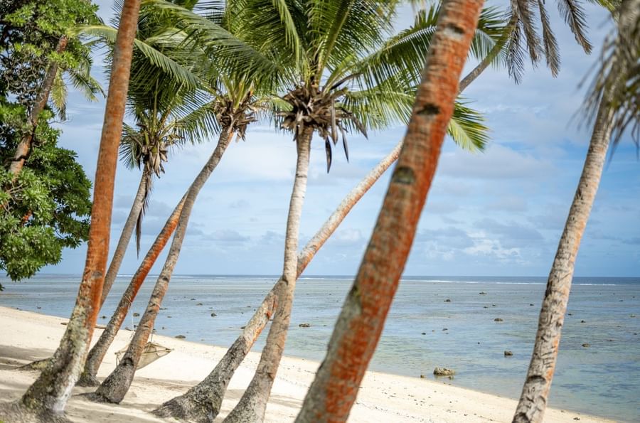 Leaning palm trees by a white sand beach under a cloudy sky near the calm turquoise water at Tambua Sands Beach Resort
