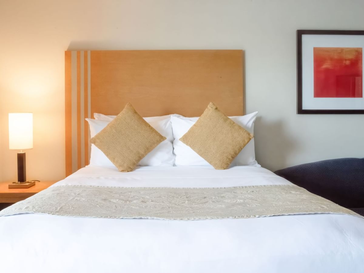 Cozy bedroom with modern decor and soft lighting.