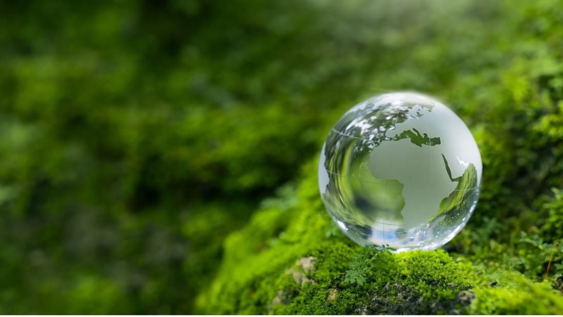 Globe en verre transparent posé sur de la mousse verte avec fond naturel flou au Warwick Reine Astrid-Lyon