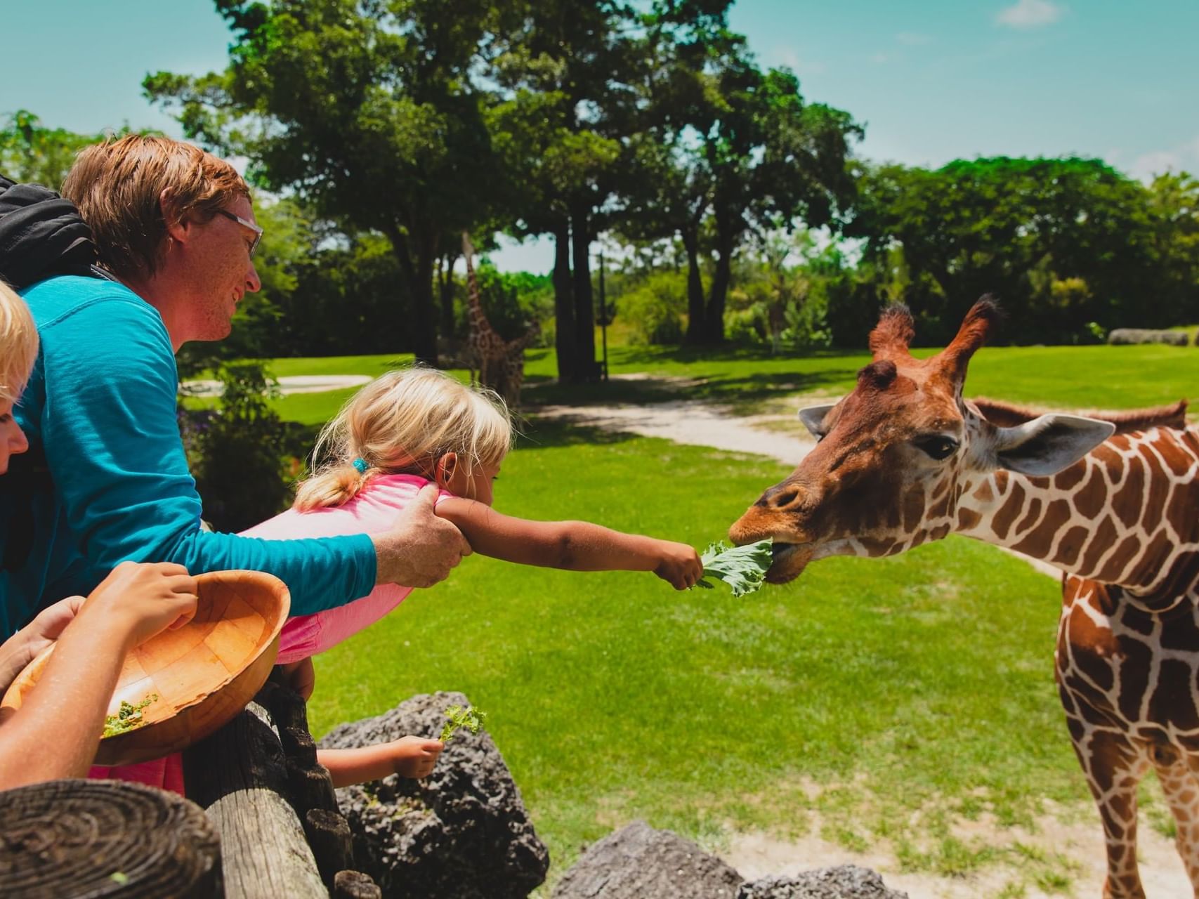 Father & kids feeding giraffes at the Zoo near MCM Eleganté