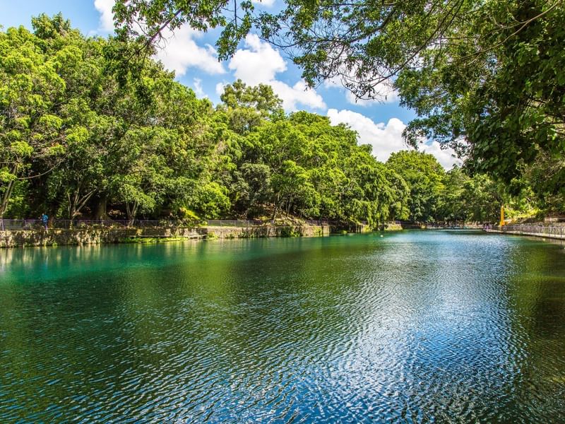 Vista panorámica de un lago y árboles cerca del Fiesta Inn