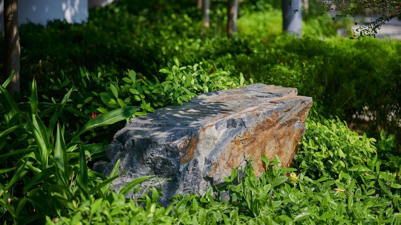 An excavated rock in the garden of Fullerton Group