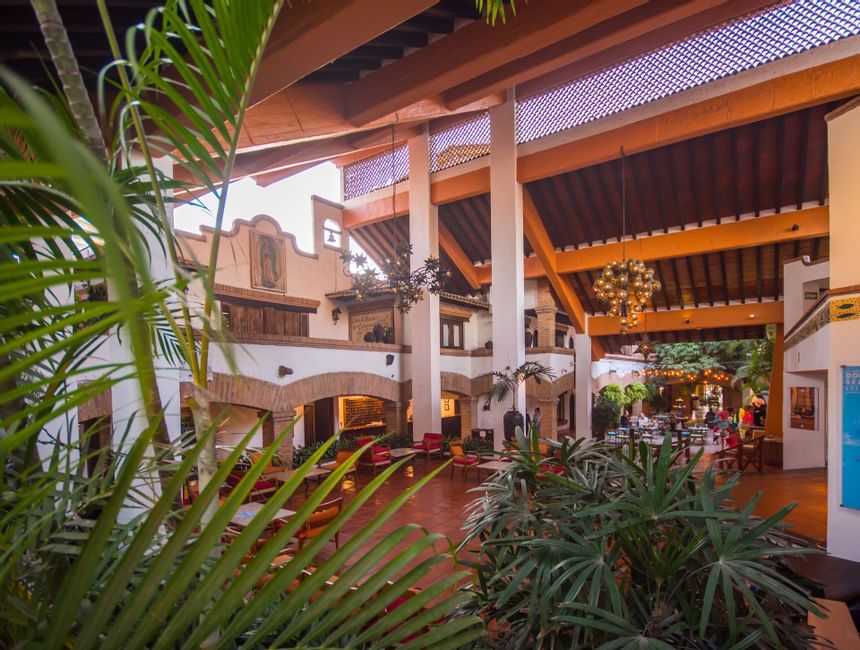 green plants in a hacienda